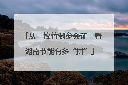 从一枚竹制参会证，看湖南节能有多“拼”