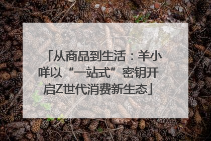 从商品到生活：羊小咩以“一站式”密钥开启Z世代消费新生态