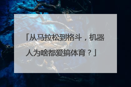 从马拉松到格斗，机器人为啥都爱搞体育？