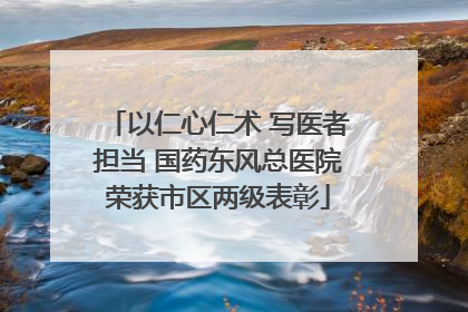 以仁心仁术 写医者担当 国药东风总医院荣获市区两级表彰