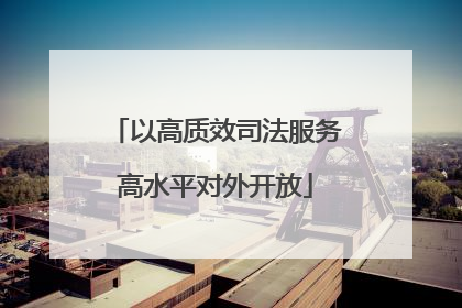 以高质效司法服务高水平对外开放