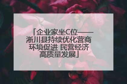 企业家坐C位——淅川县持续优化营商环境促进 民营经济高质量发展