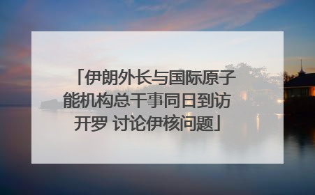 伊朗外长与国际原子能机构总干事同日到访开罗 讨论伊核问题