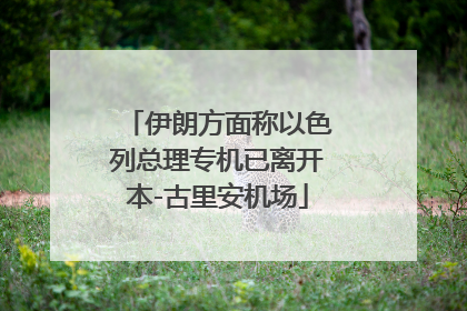 伊朗方面称以色列总理专机已离开本-古里安机场