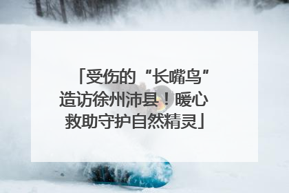 受伤的“长嘴鸟”造访徐州沛县！暖心救助守护自然精灵