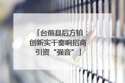 台前县后方镇：创新实干奏响招商引资“强音”