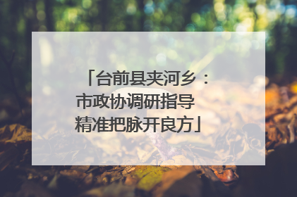 台前县夹河乡：市政协调研指导 精准把脉开良方