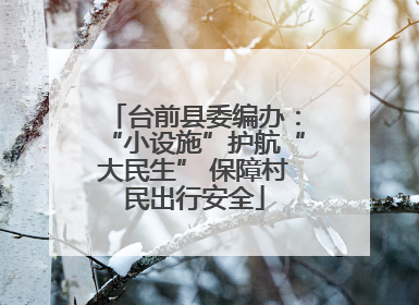台前县委编办：“小设施”护航“大民生” 保障村民出行安全