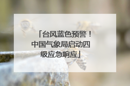 台风蓝色预警！中国气象局启动四级应急响应