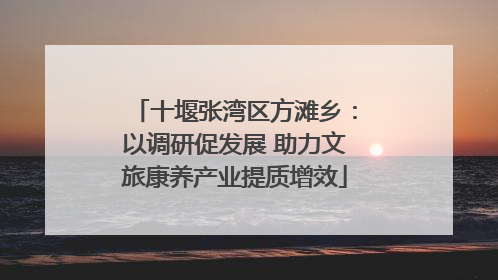 十堰张湾区方滩乡：以调研促发展 助力文旅康养产业提质增效