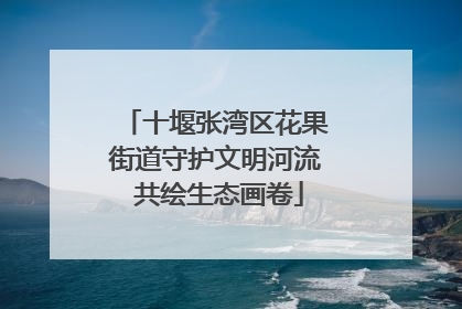 十堰张湾区花果街道守护文明河流 共绘生态画卷