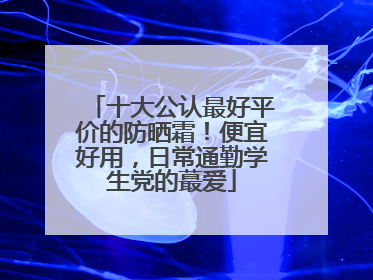 十大公认最好平价的防晒霜！便宜好用，日常通勤学生党的蕞爱