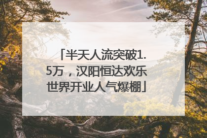半天人流突破1.5万，汉阳恒达欢乐世界开业人气爆棚
