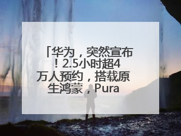 华为，突然宣布！2.5小时超4万人预约，搭载原生鸿蒙，Pura 80外观曝光
