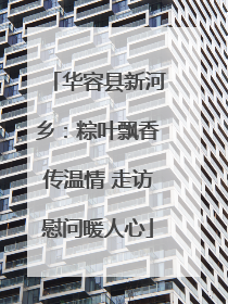 华容县新河乡：粽叶飘香传温情 走访慰问暖人心