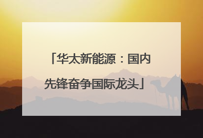 华太新能源：国内先锋奋争国际龙头