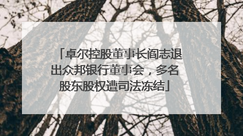 卓尔控股董事长阎志退出众邦银行董事会，多名股东股权遭司法冻结