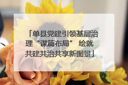 单县党建引领基层治理“谋篇布局” 绘就共建共治共享新图景