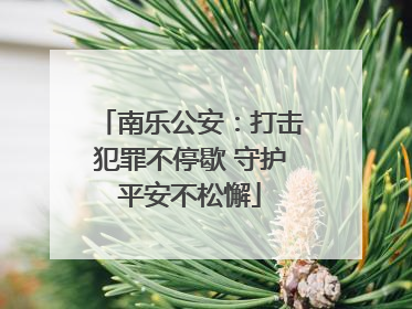 南乐公安：打击犯罪不停歇 守护平安不松懈