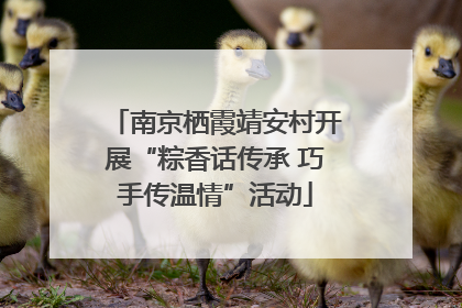 南京栖霞靖安村开展“粽香话传承 巧手传温情”活动