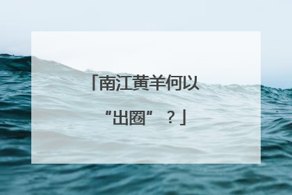 南江黄羊何以“出圈”？