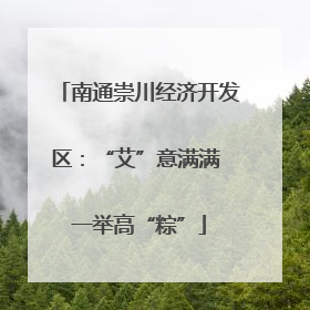 南通崇川经济开发区：“艾”意满满 一举高“粽”