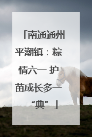 南通通州平潮镇：粽情六一 护苗成长多一“典”