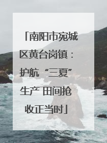 南阳市宛城区黄台岗镇：护航“三夏”生产 田间抢收正当时