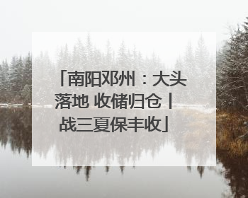 南阳邓州：大头落地 收储归仓丨战三夏保丰收