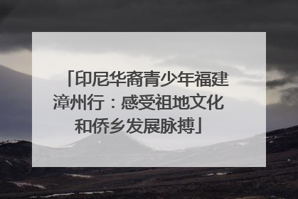 印尼华裔青少年福建漳州行：感受祖地文化和侨乡发展脉搏