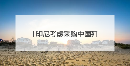 印尼考虑采购中国歼-10战斗机 正评估性能与成本优势