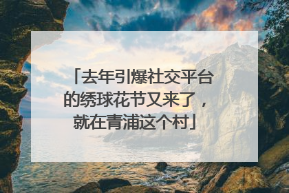 去年引爆社交平台的绣球花节又来了，就在青浦这个村