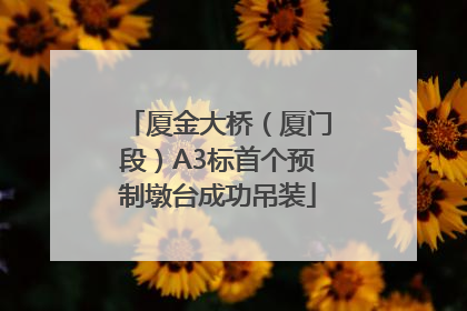 厦金大桥（厦门段）A3标首个预制墩台成功吊装
