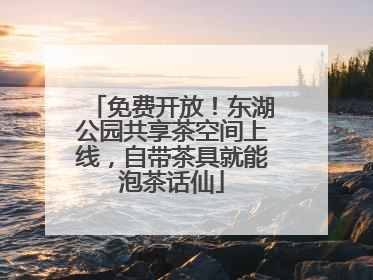 免费开放！东湖公园共享茶空间上线，自带茶具就能泡茶话仙