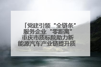 党建引领“全链条” 服务企业“零距离” 重庆市质标院助力新能源汽车产业链提升质量管理水平