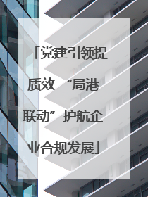 党建引领提质效 “局港联动”护航企业合规发展