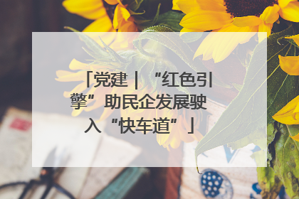 党建｜“红色引擎”助民企发展驶入“快车道”