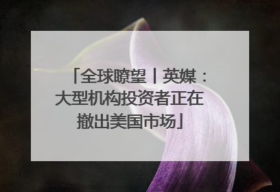 全球瞭望丨英媒：大型机构投资者正在撤出美国市场