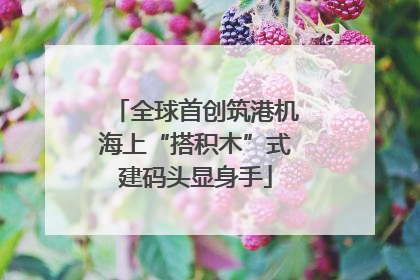 全球首创筑港机海上“搭积木”式建码头显身手