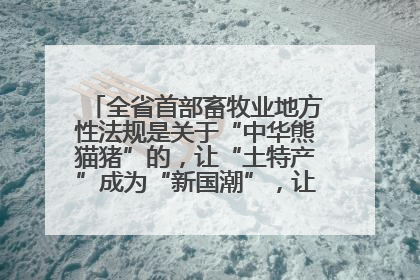 全省首部畜牧业地方性法规是关于“中华熊猫猪”的，让“土特产”成为“新国潮”，让“农产品”升格为“城市IP”