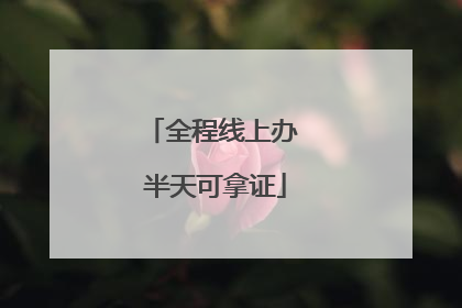 全程线上办 半天可拿证
