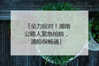 全力应对！湖南公路人紧急抢险，清障保畅通