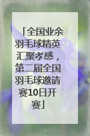全国业余羽毛球精英汇聚孝感，第二届全国羽毛球邀请赛10日开赛