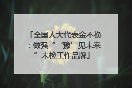 全国人大代表金不换：做强“‘豫’见未来”未检工作品牌