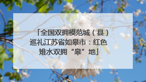 全国双拥模范城（县）巡礼江苏省如皋市：红色雉水双拥“皋”地