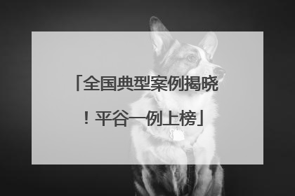 全国典型案例揭晓！平谷一例上榜