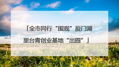 全市同行“围观”厦门湖里台青创业基地“出圈”