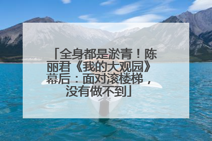 全身都是淤青！陈丽君《我的大观园》幕后：面对滚楼梯，没有做不到