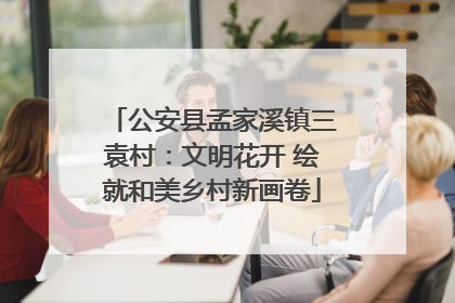 公安县孟家溪镇三袁村：文明花开 绘就和美乡村新画卷