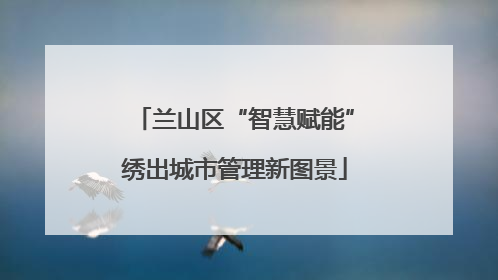 兰山区“智慧赋能”绣出城市管理新图景